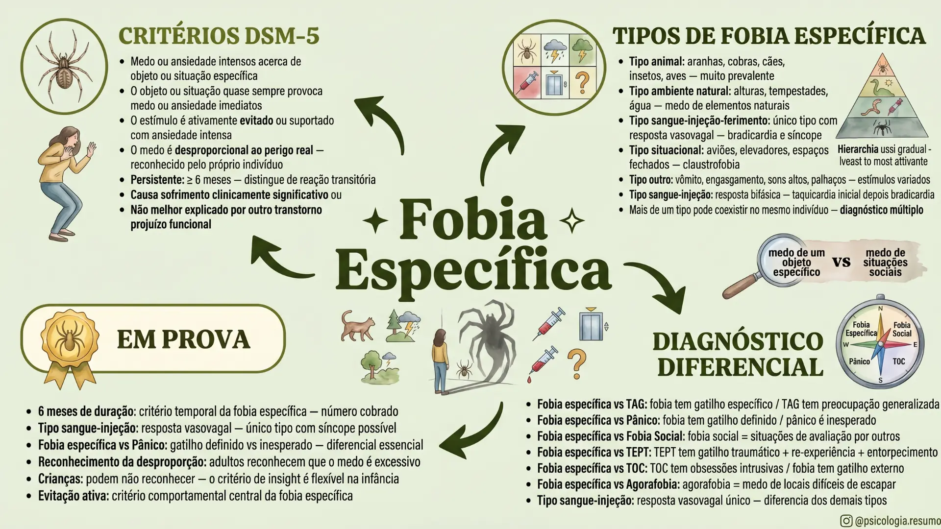12.webp